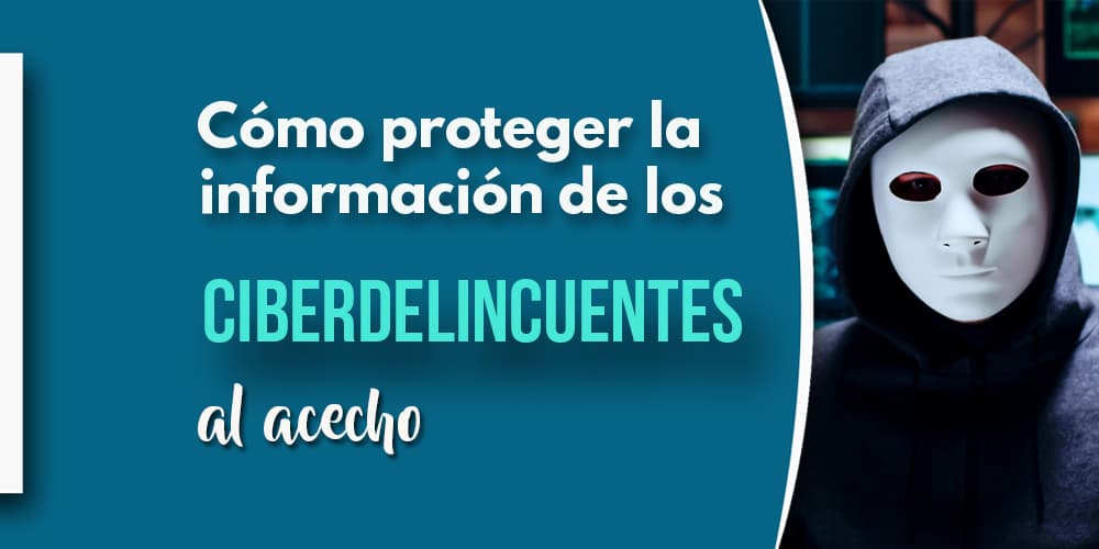 Ciberdelincuentes